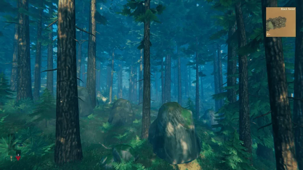 black forest